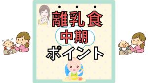 【離乳食】中期のポイント(7〜8ヶ月) 2回食・鉄分・取り分けのコツ